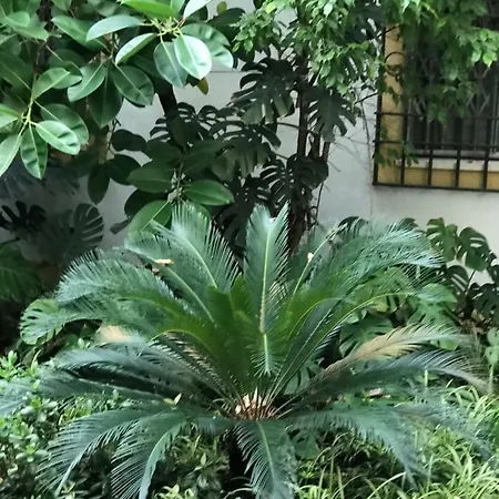 Doblas , Parking Gratis Lejlighed Córdoba