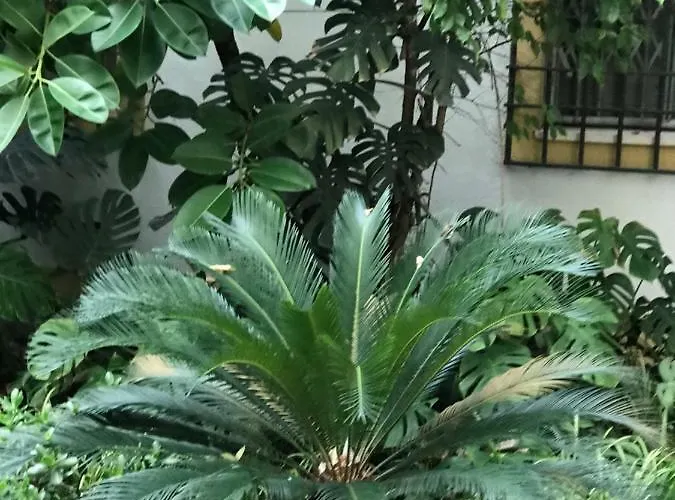 Doblas , Parking Gratis Apartament Kordoba